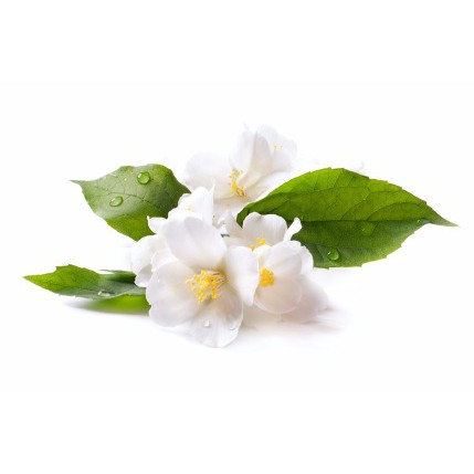 

Bibit Parfum Jasmine Fragrance Oil 100 cc