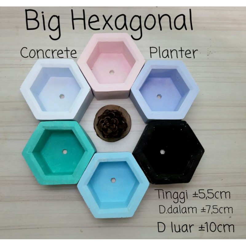 Pot semen hexagon besar | pot kaktus sukulen besar | Big hexagon concrete planter
