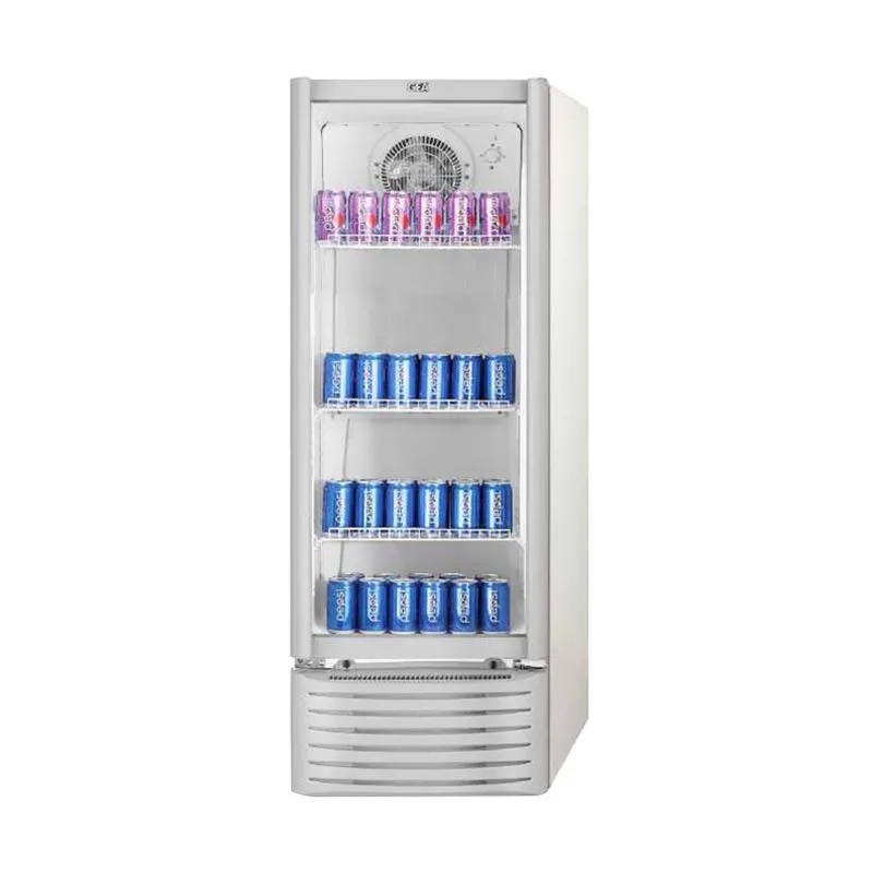 GEA EXPO 30 FC Showcase - Silver 222 Liter