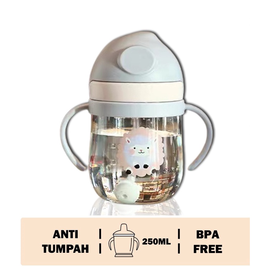 Botol Minum Anak BPA Free 250ml / Botol Minum Bayi / Baby Training Bottle