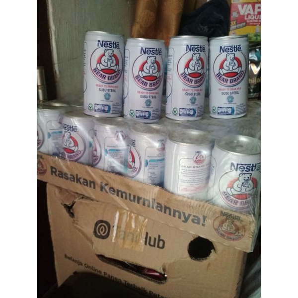 

Susu beruang