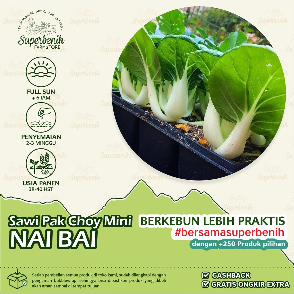 Jual Biji Benih Sawi Pak Choy Mini Nai Bai Toy Choy Indonesia