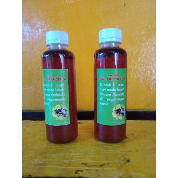 

Madu Hutan Asli/Madu Hutan Murni/Madu Klanceng kemasan 100ml