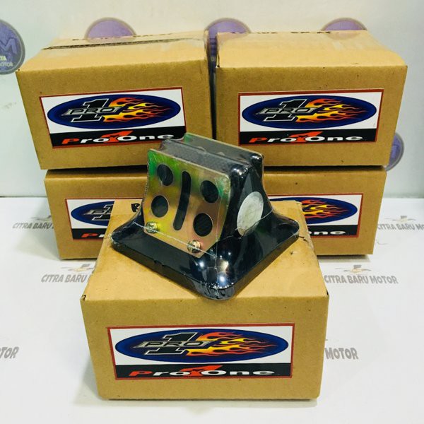 membran karbon rxz assy