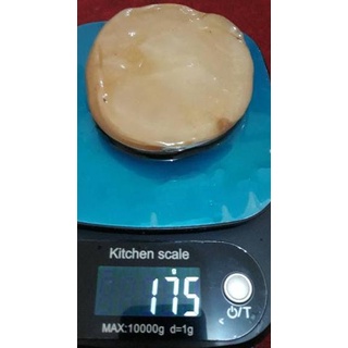 

Best Product !!! SCOBY ATAU JAMUR DIPO TERMURAH UNTUK MEMBUAT KOMBUCHA ✍↓ (Ready Stock)