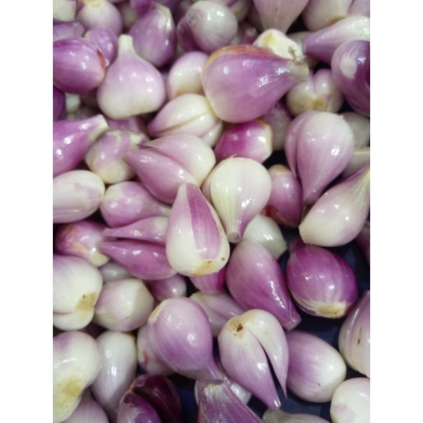 BAWANG MERAH KUPAS 1KG