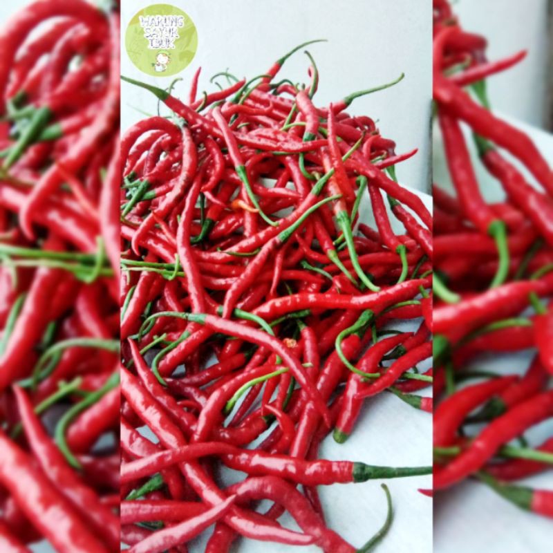 

CABE KERITING MERAH 250gr