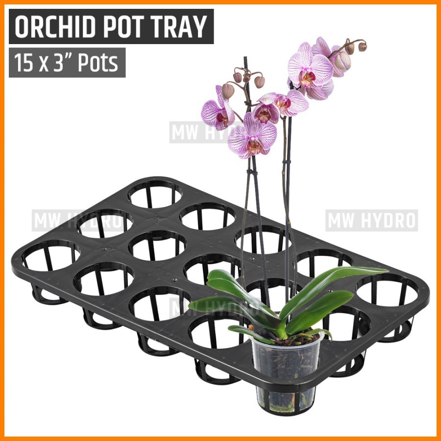 Orchid Pot Tray, Nampan Pot Bibit Anggrek, 15 Lubang 3&quot;