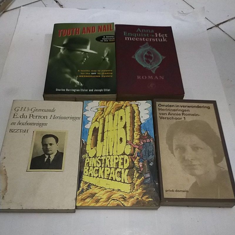 CABUTAN NOVEL ANNIE ROMEINVERCHEOOR OMZIEN IN VERWONDERING 1/ CLIMB THE PINSTRIPED BACKPACK/ G.H.s G