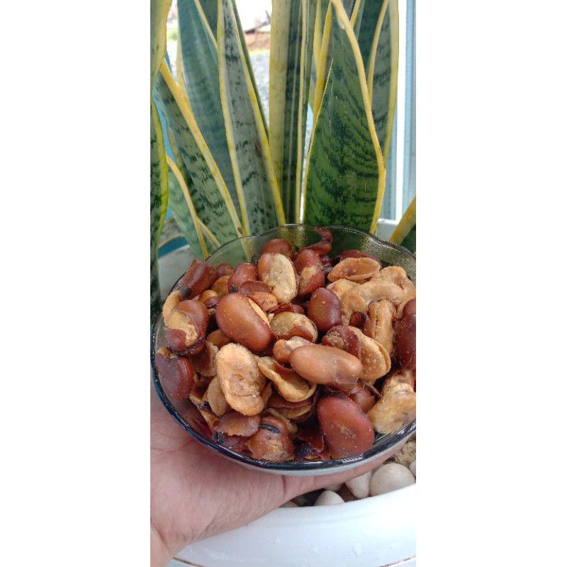 

SNACK KILOAN KACANG KORO KULIT 500 GRAM