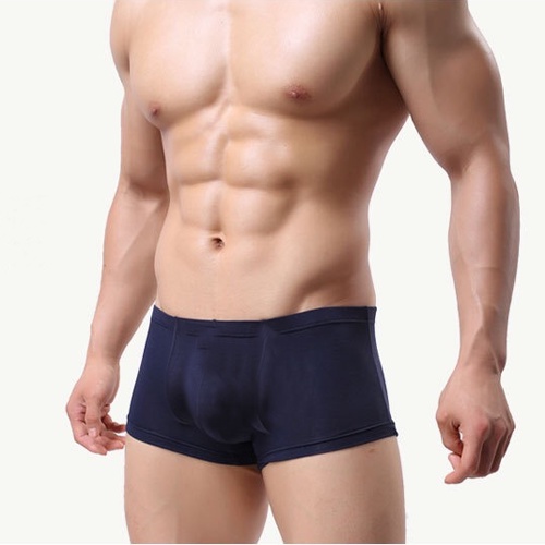 Celana Dalam Pria Boxer Sexy Tipis Boxer Celana Pendek Pakaian dalam Pria Polos&amp;Motif Y01