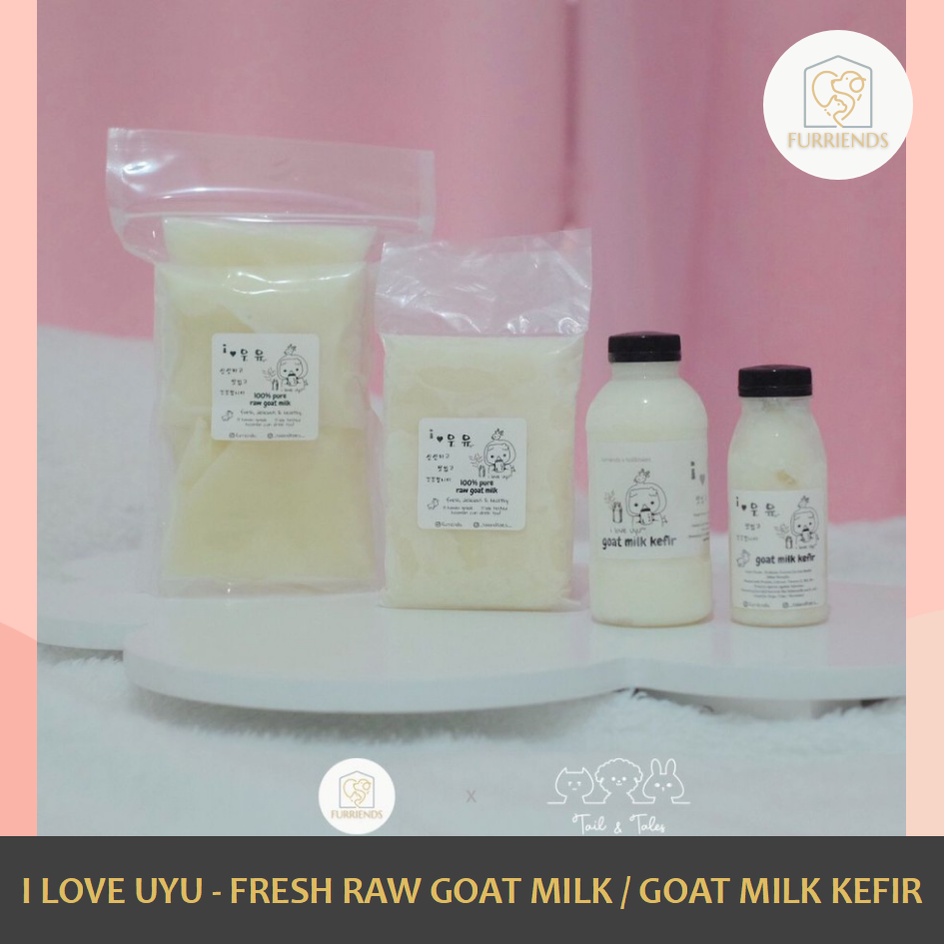 UYU - Kefir Goat Milk Probiotic untuk Kesehatan Pencernaan / Fresh Raw Goat Milk 100% Pure Human Gra