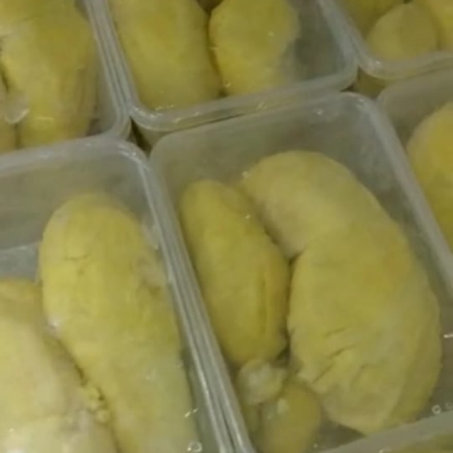 

Duren/durian montong