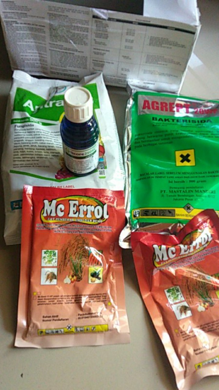 (bisa Cod) Fungisida Antracol 70 Wp Isi 500 Gram