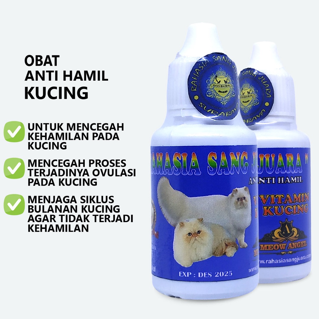 OBAT ANTI HAMIL KUCING MENCEGAH KEHAMILAN DAN PROSES OVULASI PADA KUCING