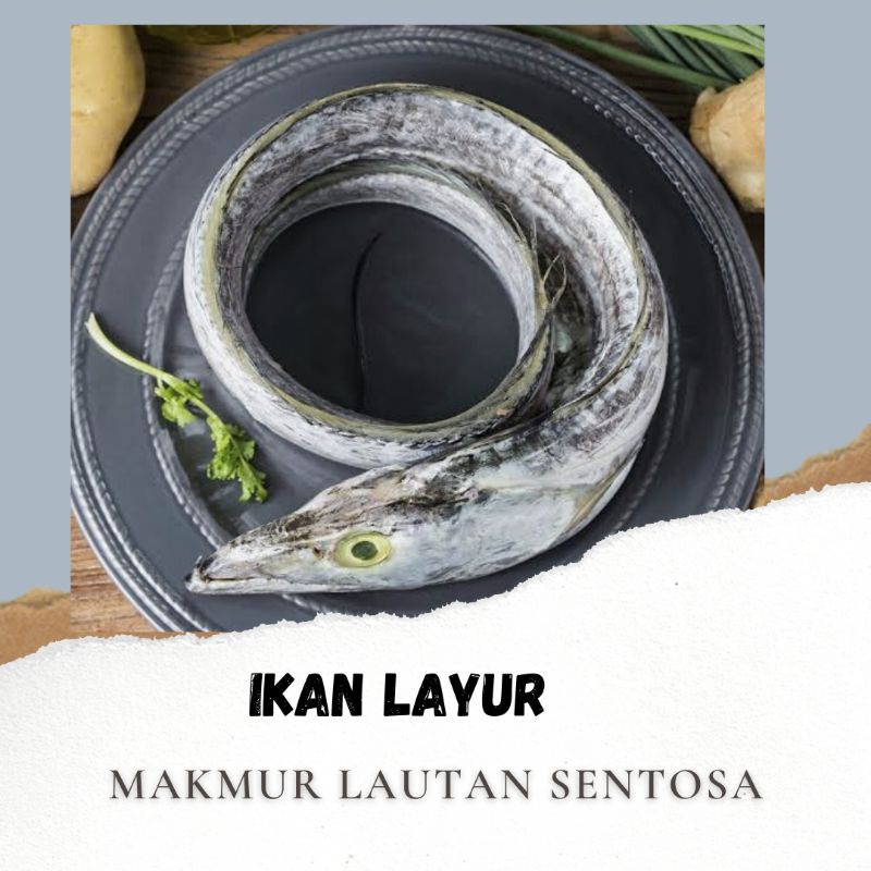 

Ikan Layur Fresh 1kg