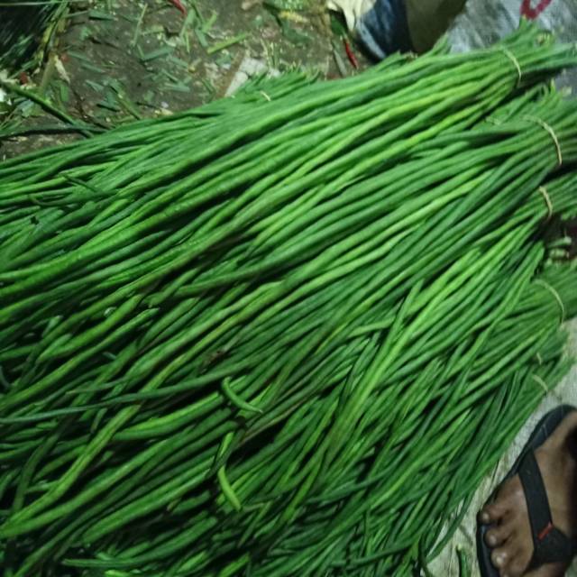 

Kacang panjang