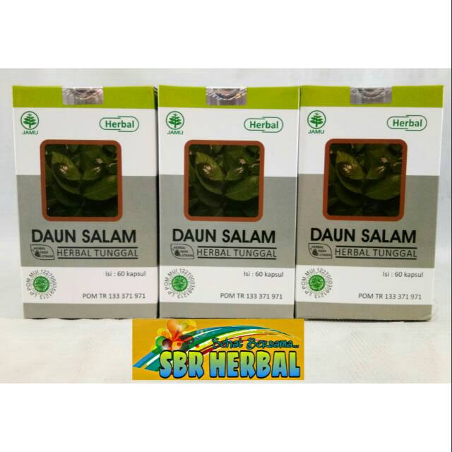 Kapsul Daun Salam Hiu