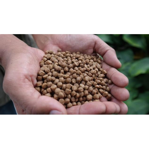 T78-4 Pakan Pellet Benih Bibit Ikan Lele Gurame Nila Protein 4 mm 30kg