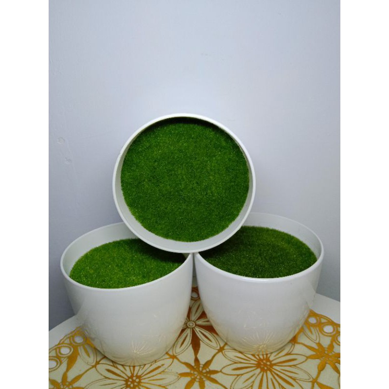 pot bunga/pot plastik/pot+oasis+lumut/oasis bunga/busa bunga/lumut plastik/pot+lumut/pot tawon