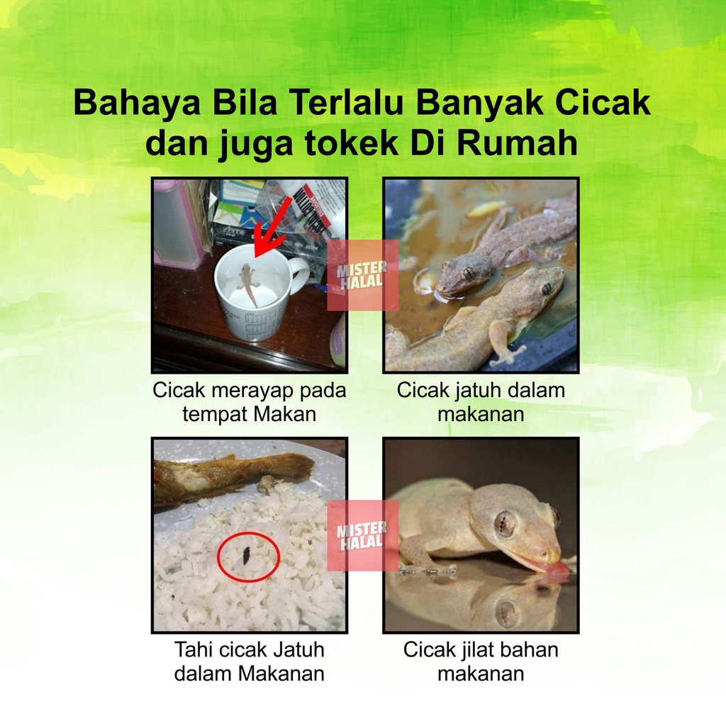 VENOM ANTI RACUN CICAK - Matikan Cicak Tokek Kecoa Dalam Sekejap, Basmi Cicak Yang Mengganggu, Rumah Bebas Cicak, Bersih Dari Kotorannya &amp; Najis, 100% Original