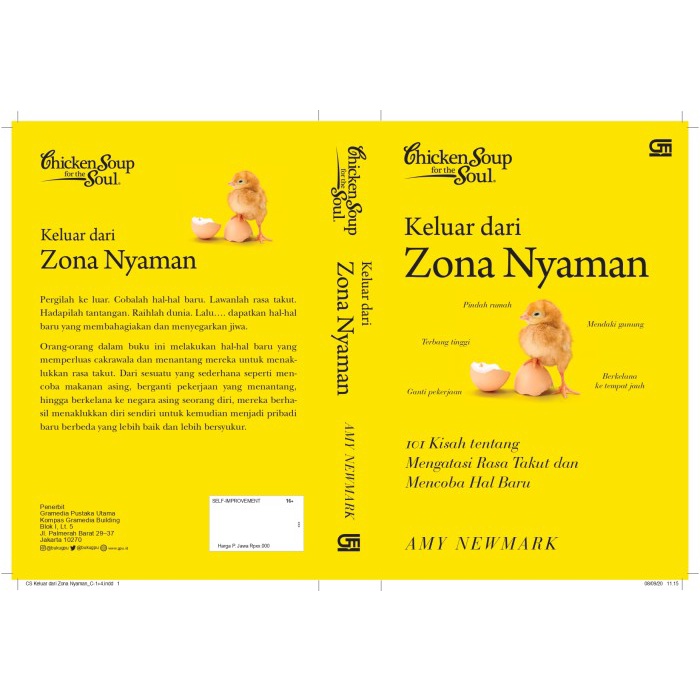 CHICKEN SOUP FOR THE SOUL: KELUAR DARI ZONA NYAMAN