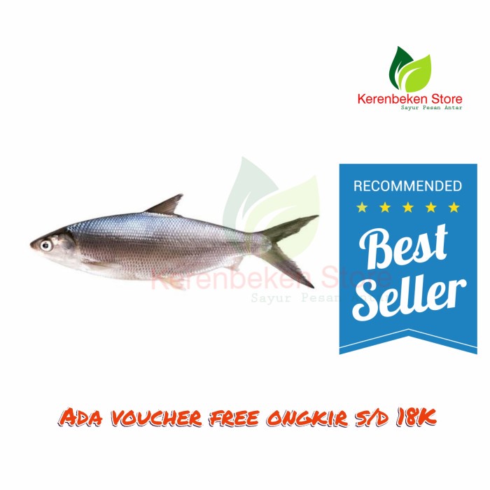 

Ikan Bandeng per 500 gram