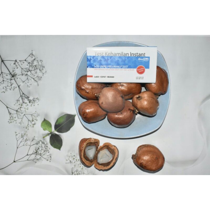 Buah zuriat mesir