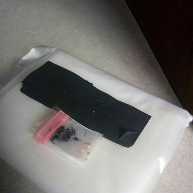(isi 50 Biji) Cabe Merah Keriting