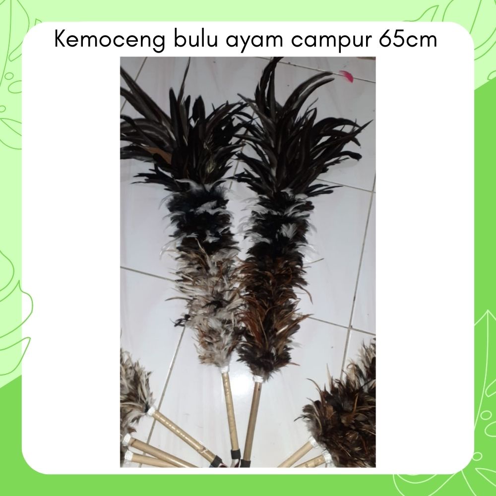 KEMOCENG BULU AYAM PANJANG HORN CAMPUR LANCUR JAGO UKURAN 65 CM - SULAK KEMOCENG KEMUCING KEMONCENG 