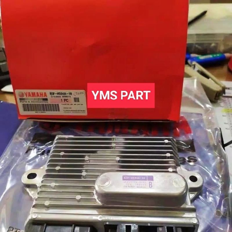 SGCU ECU LEXI TYPE B ORIGINAL YGP B3F-H594A-10