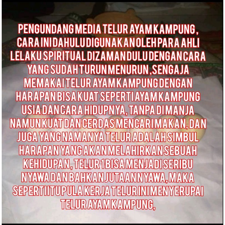 

TELUR RAJAH PENGUNDANG SAWEG DALI