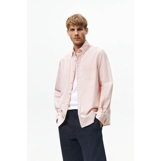 Zr oxford premium cotton blouse