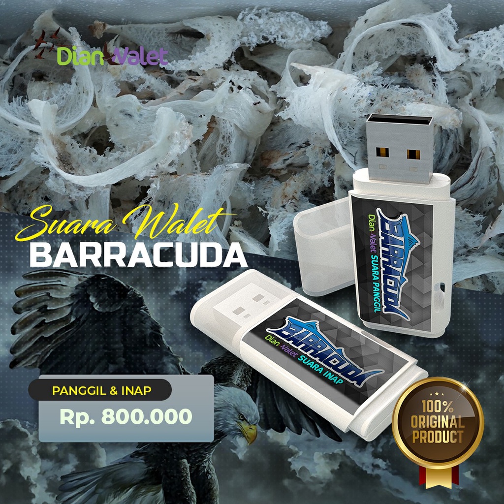 Suara Walet BARRACUDA Asli DIAN WALET