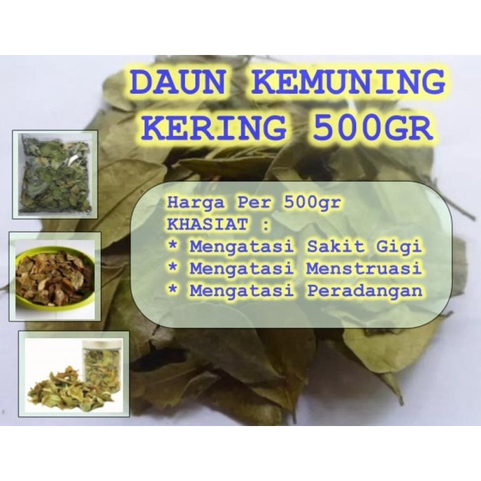 

Daun Kemuning Kering Asli 250gr (1/4 kg) Untuk Sakit Gigi