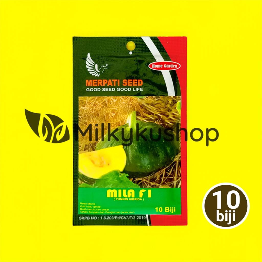 BENIH MERPATI SEED MILA F1 PUMPKIN 10 BIJI LABU KEMASAN PABRIK