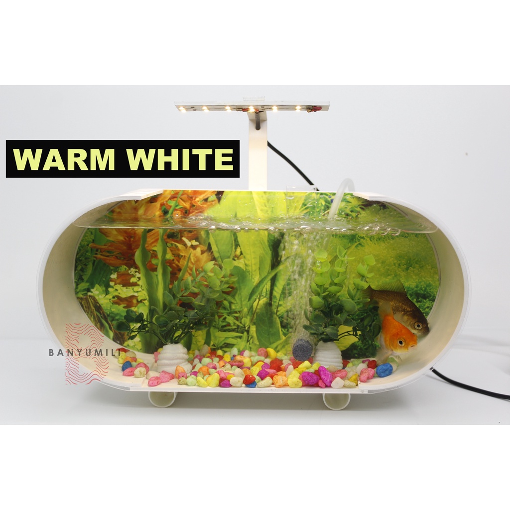 Aquarium Akrilik Murah 5 Dim Full Set + Pompa Aerator + Batu Gelembung + Lampu Led