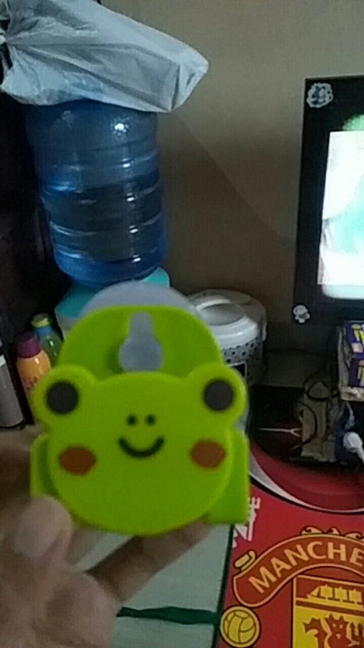 Gantungan Spon Spons Kartun + Pengait / Vacuum Kitchen Sponge Holder - X375