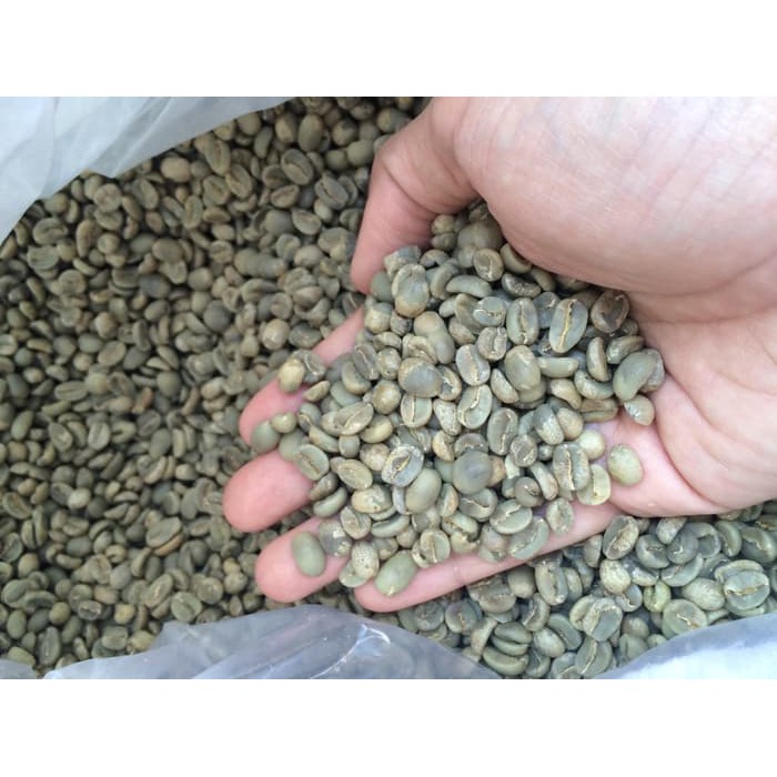 

green bean kintamani arabica/arabika dengan mutu dan harga bersaing