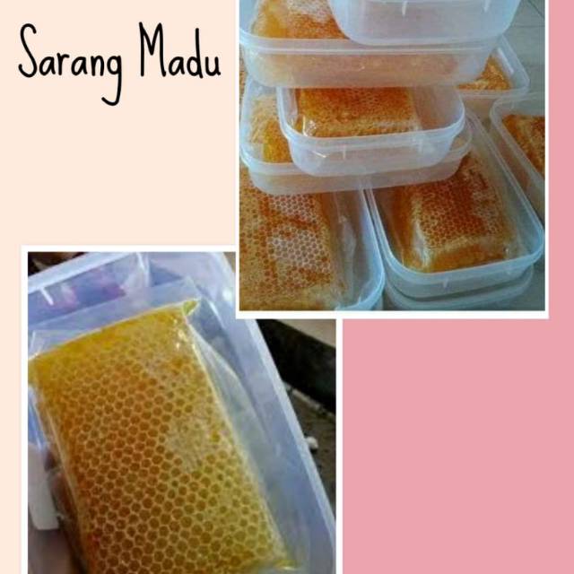 

Murah!! MADU SARANG MELIFERA DAN CERANA ORIGINAL KUALITAS PREMIUM
