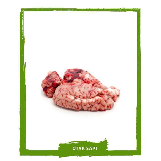 

Otak Sapi / Daging Segar By Mallahrizwa