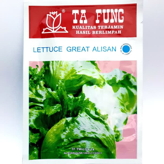 (1 PACK) Benih Selada Krop Lettuce Great Alisan - TA FUNG