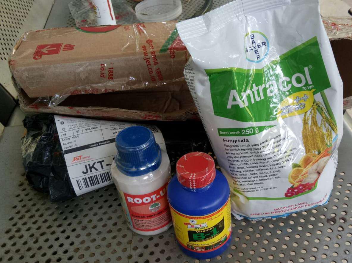 Fungisida Antracol 70wp + Zinc 250 Gram