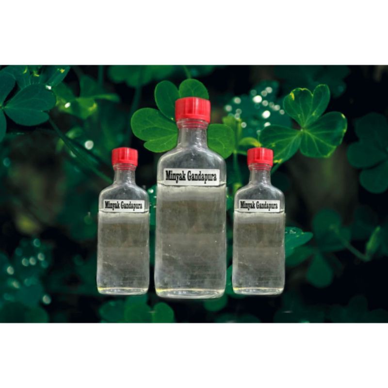 MINYAK GANDAPURA MURNI/minyak gosok