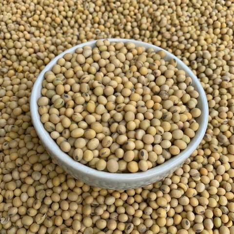 

504ekh Best Seller!!! Kacang Kedelai Import Amerika Kemasan 1Kg 6J
