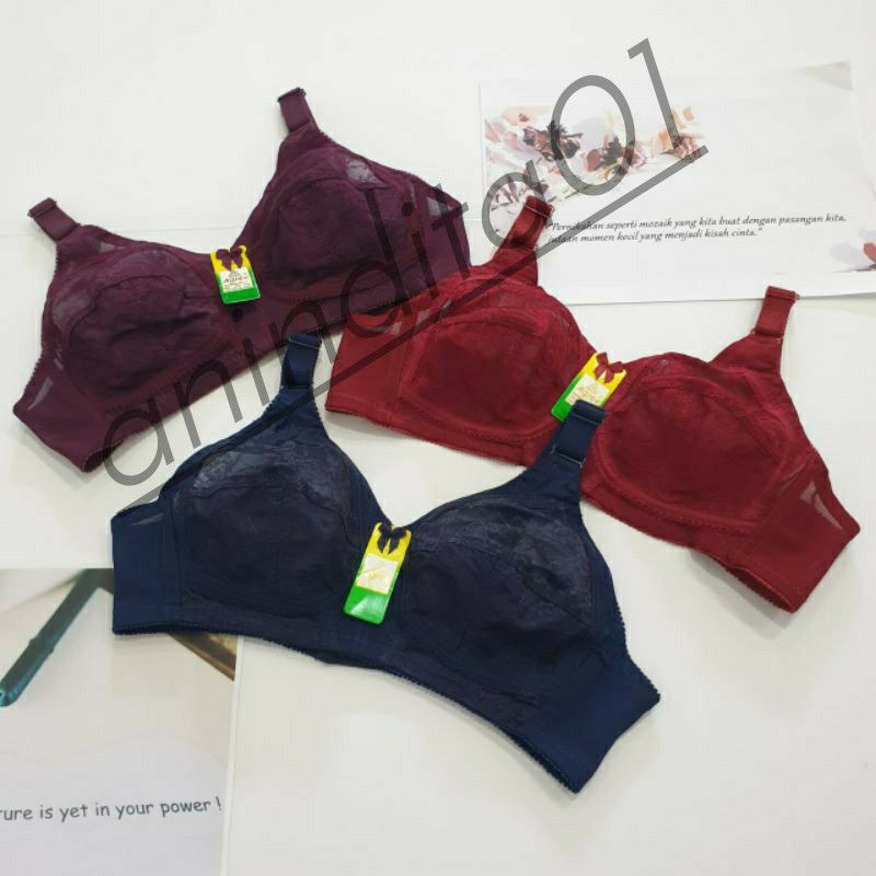 BH AGREE BRA AGREE 099 BH ibu ibu Agree Bh agree