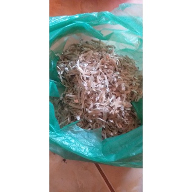 

Ikan teri bilis/ikan teri asam