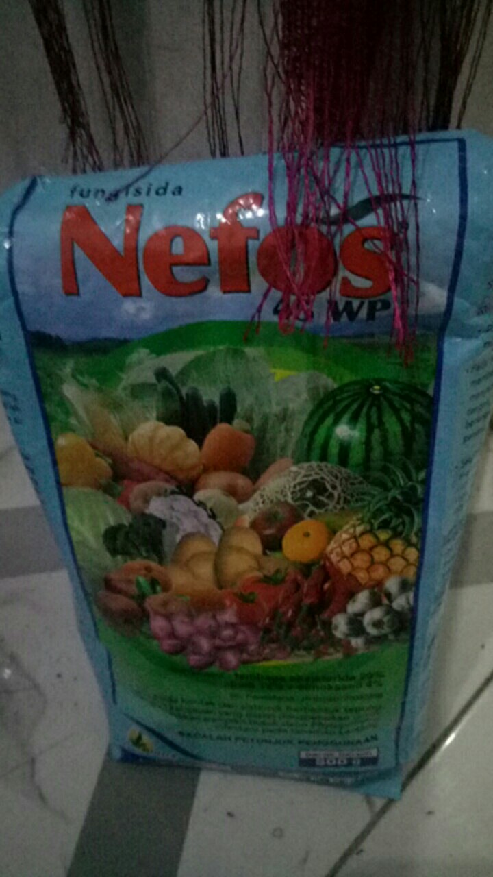 Fungisida Nefos 45 Wp 500 Gram
