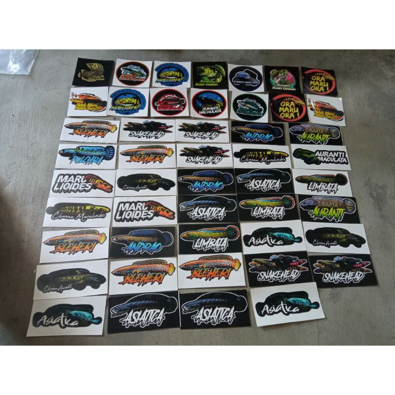 

12 pcs stiker ikan channa promoo