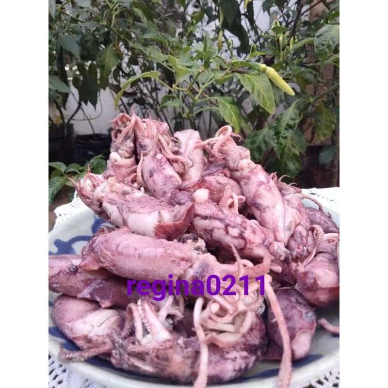 

Cumi Asin 250 gram